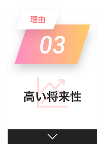 理由　０３　高い将来性