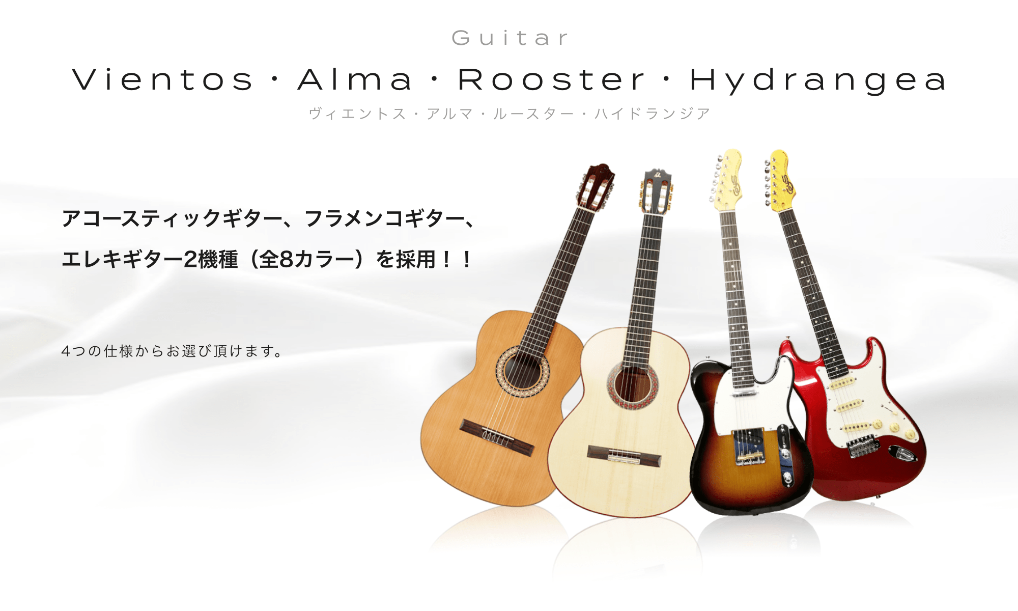 Guitar Vientos Alma Rooster Hydrangea ヴェントス　アルマ　ルースター　ハイドランジア